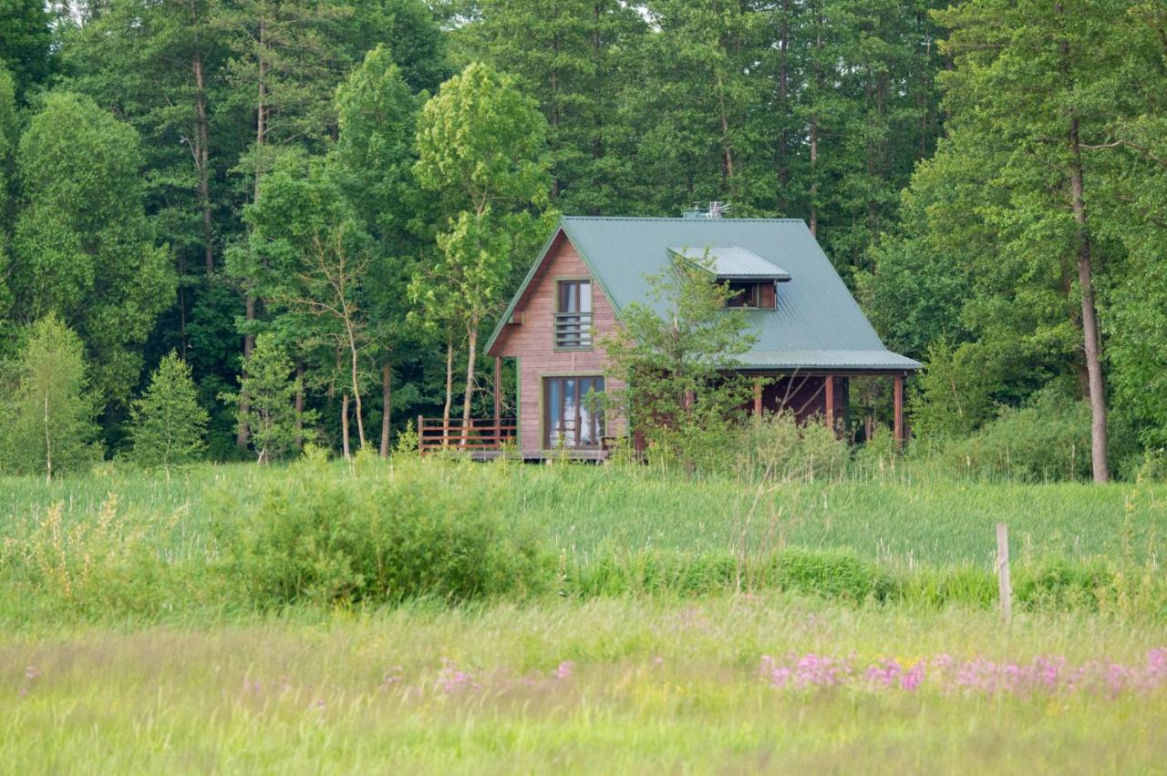 Domek W Biebrzanskim Eldorado Villa Dolistowo Stare Bagian luar foto