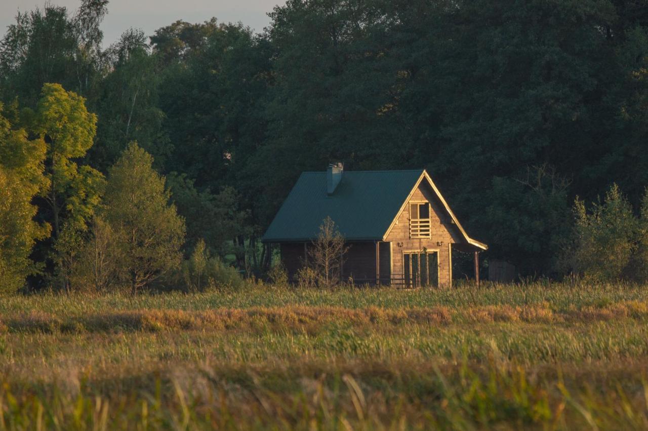 Domek W Biebrzanskim Eldorado Villa Dolistowo Stare Bagian luar foto